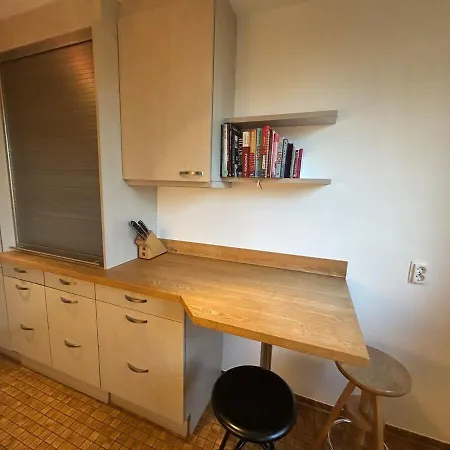 Airy Central Flat For Business City Trips Messe